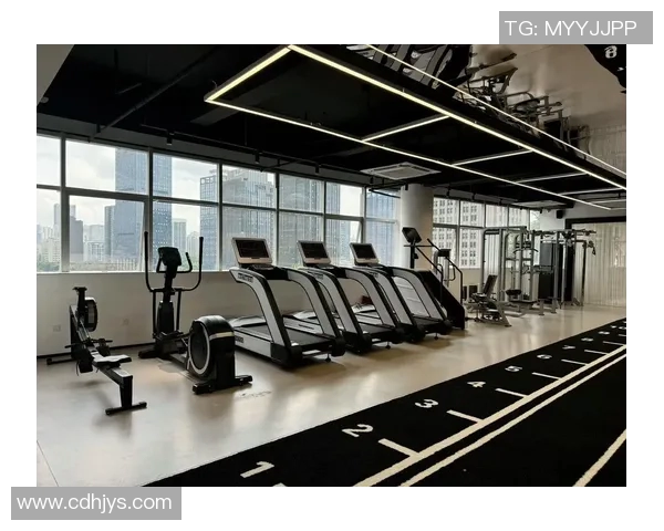 高端健身器材：奢华与专业的高端健身器材推荐