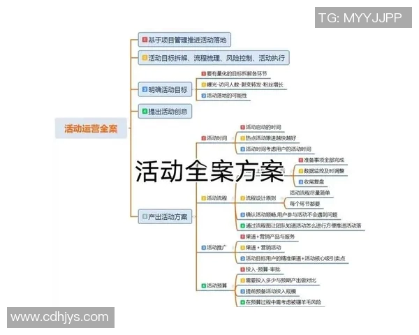 营销策划的王牌秘笈:创意全攻略 营销策划的王牌秘笈:创意全攻略