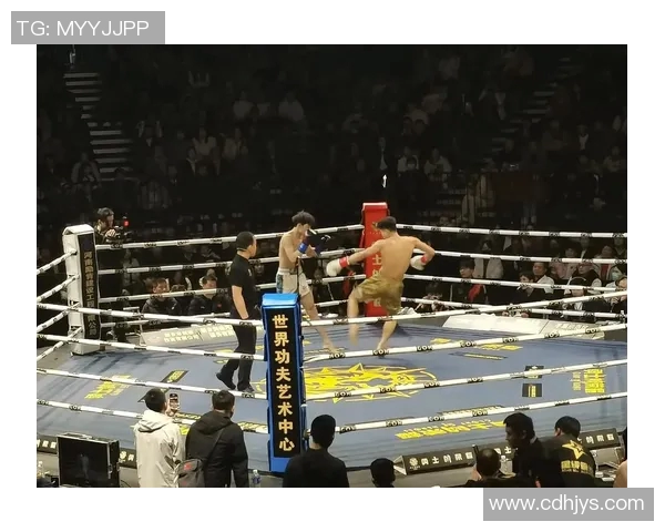 竞技场的热血较量与荣耀之战：探索战斗背后的策略与勇气