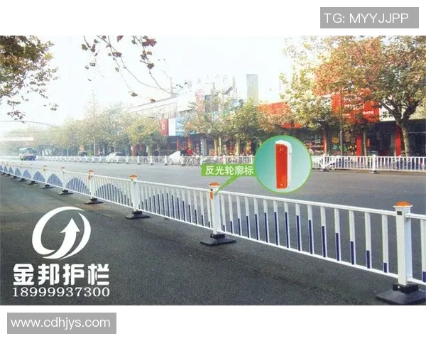 交通护栏设计与应用分析：提升道路安全与美观的双重保障