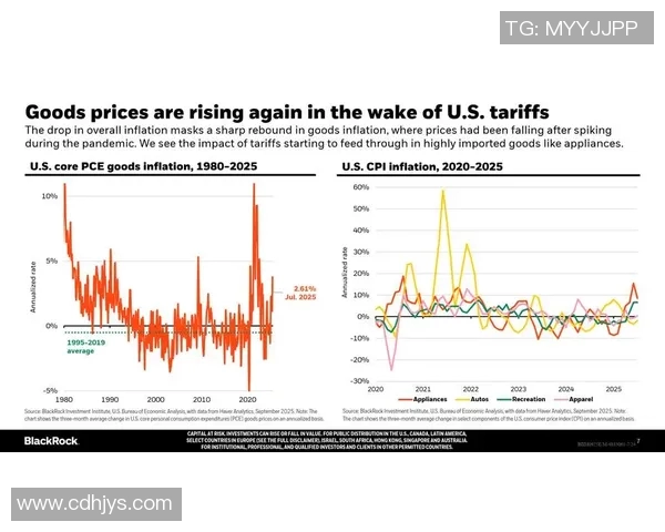 中时新闻网：全球经济动荡加剧，专家分析未来趋势与应对策略