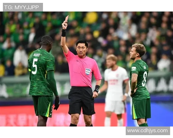 球迷文化的多元发展与社会影响探析：从热情到理性，体育精神的传承与创新