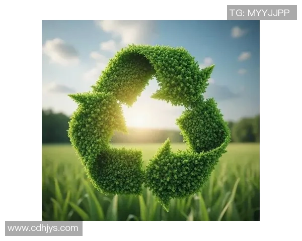 以环境质量为核心推动绿色发展构建可持续未来新路径