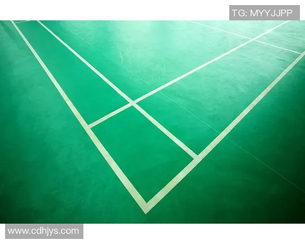 西安羽毛球队的控制革新探索与实践全景分析